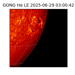 gong - 2025-06-29T03:00:42