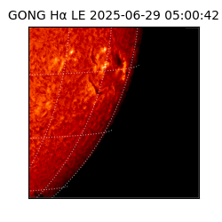 gong - 2025-06-29T05:00:42