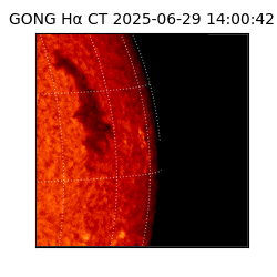 gong - 2025-06-29T14:00:42
