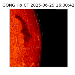 gong - 2025-06-29T16:00:42
