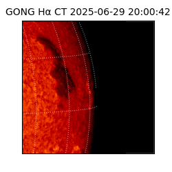 gong - 2025-06-29T20:00:42