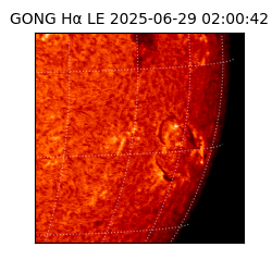 gong - 2025-06-29T02:00:42
