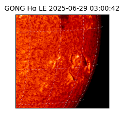 gong - 2025-06-29T03:00:42
