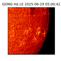 gong - 2025-06-29T05:00:42