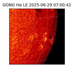 gong - 2025-06-29T07:00:42