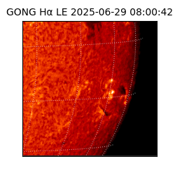 gong - 2025-06-29T08:00:42