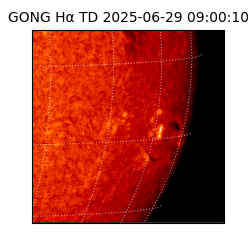 gong - 2025-06-29T09:00:10