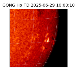 gong - 2025-06-29T10:00:10