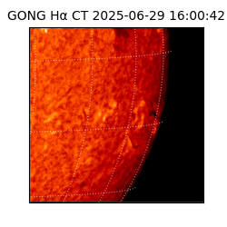 gong - 2025-06-29T16:00:42