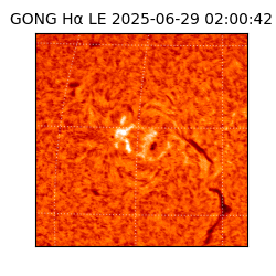 gong - 2025-06-29T02:00:42