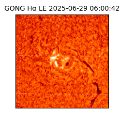 gong - 2025-06-29T06:00:42