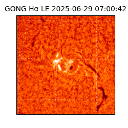 gong - 2025-06-29T07:00:42