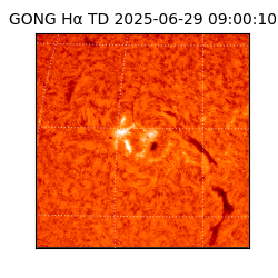 gong - 2025-06-29T09:00:10