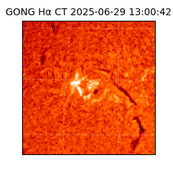 gong - 2025-06-29T13:00:42