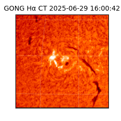 gong - 2025-06-29T16:00:42