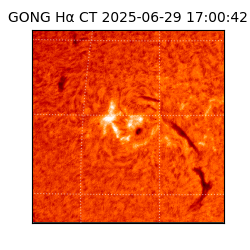 gong - 2025-06-29T17:00:42