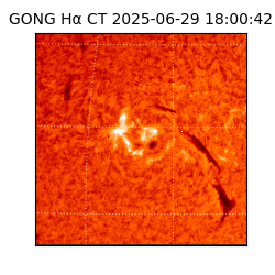 gong - 2025-06-29T18:00:42