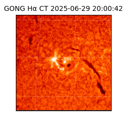 gong - 2025-06-29T20:00:42