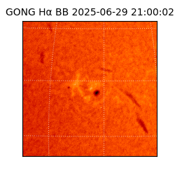 gong - 2025-06-29T21:00:02