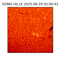 gong - 2025-06-29T02:00:42