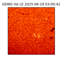 gong - 2025-06-29T03:00:42