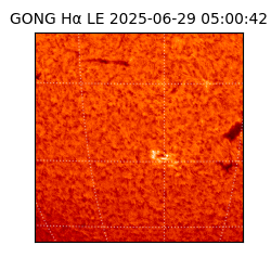 gong - 2025-06-29T05:00:42