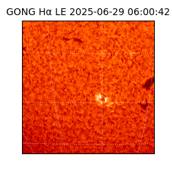 gong - 2025-06-29T06:00:42