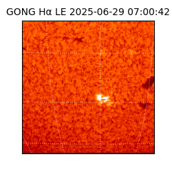 gong - 2025-06-29T07:00:42