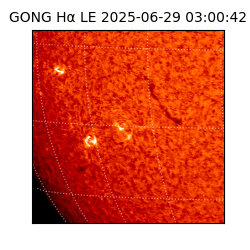 gong - 2025-06-29T03:00:42