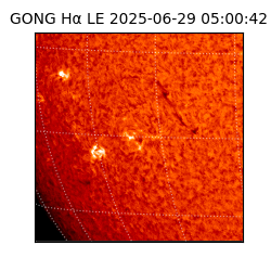 gong - 2025-06-29T05:00:42