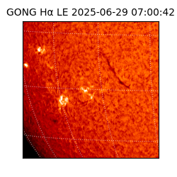 gong - 2025-06-29T07:00:42