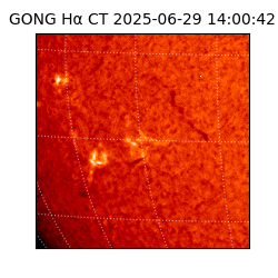 gong - 2025-06-29T14:00:42