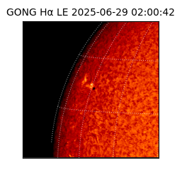 gong - 2025-06-29T02:00:42