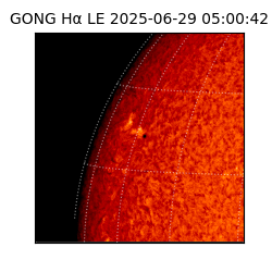 gong - 2025-06-29T05:00:42