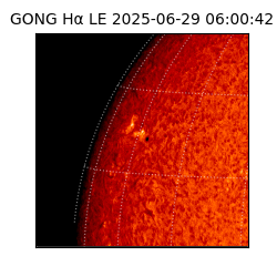 gong - 2025-06-29T06:00:42