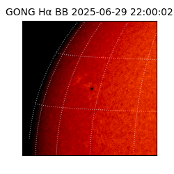 gong - 2025-06-29T22:00:02