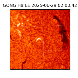 gong - 2025-06-29T02:00:42
