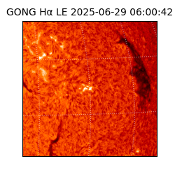 gong - 2025-06-29T06:00:42