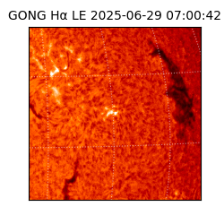 gong - 2025-06-29T07:00:42