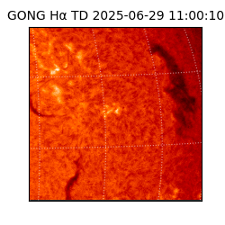 gong - 2025-06-29T11:00:10