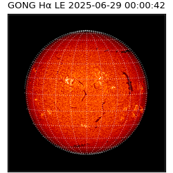 gong - 2025-06-29T00:00:42
