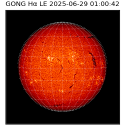 gong - 2025-06-29T01:00:42