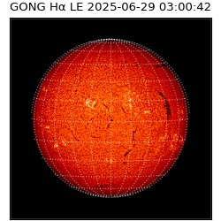 gong - 2025-06-29T03:00:42