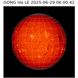 gong - 2025-06-29T06:00:42