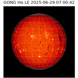 gong - 2025-06-29T07:00:42