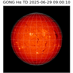 gong - 2025-06-29T09:00:10