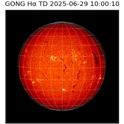 gong - 2025-06-29T10:00:10