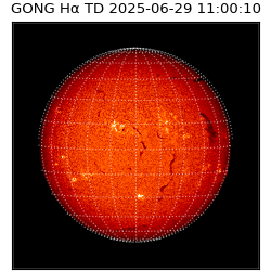 gong - 2025-06-29T11:00:10
