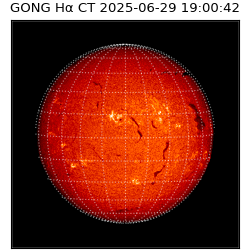 gong - 2025-06-29T19:00:42