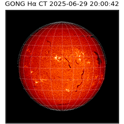 gong - 2025-06-29T20:00:42